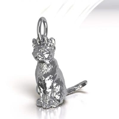 Ashanger Kat 3D, zilver